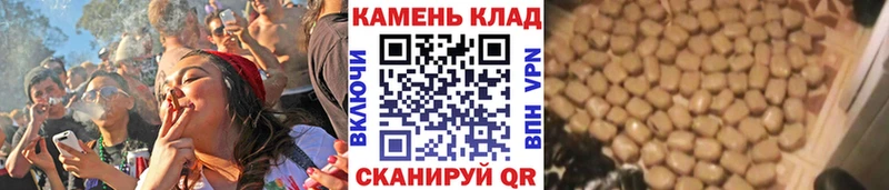 ГАШ индика сатива  где найти наркотики  kraken ТОР  Томилино 