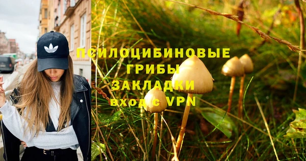 Альфа ПВП Абинск