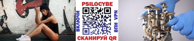Галлюциногенные грибы Cubensis  Томилино 